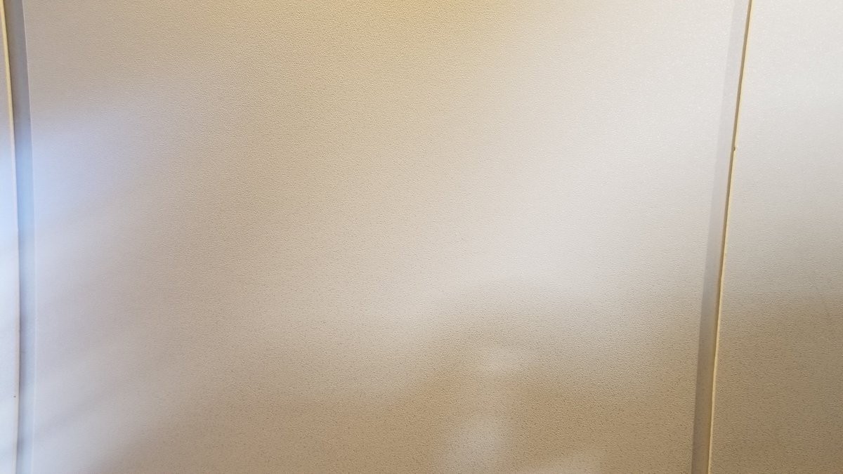 Roaming Curator tweet media