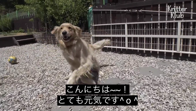 エンドA全生還です!!!!
楽しかった〜〜〜〜〜!!!!猛牛出来て満足  自陣  𝑲𝑰𝑺𝑺   KP陣 𝑲𝑰𝑺𝑺  感謝の正拳突き 