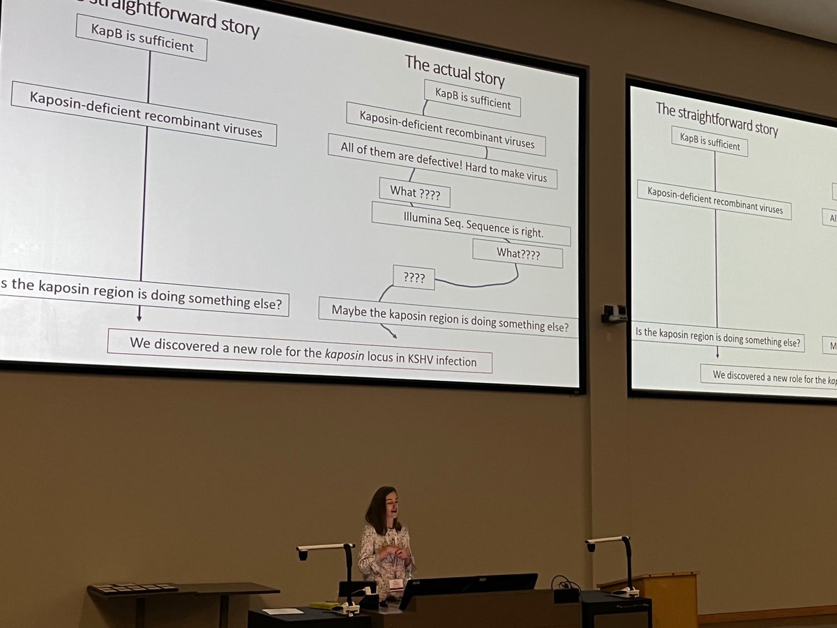 thaliakat2's tweet photo. Great to watch 
@corcoran_lab
 present the recent (and exciting!) work by 
@marielkleer
 - and underscoring that scientific discovery isn’t always a straight line, but sometimes you find something cool along the way! 
@CanSocVirol
 #CSV2022 https://t.co/xAj7VG0WbY