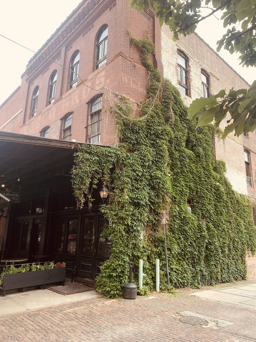 FlaxbeardMark's tweet photo. #ThingsAreLookingUpOmaha! Neat things to see in Omaha, NE. 15th Edition #OldBricks in Downtown Omaha. #Omaha #GoOmaha #Happiness @Jean_Stothert @jaflax @flaxbeer @Joe_Flax @LaineyFlax @KatTimpf @greggutfeld @elonmusk  @paulflax1 @KennedyNation https://t.co/o4XJkw3e9M