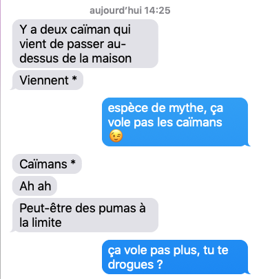 chatigresse's tweet photo. Small talk with n°1 ⬇️ #rotorgeeks https://t.co/Du9iNmFBdh