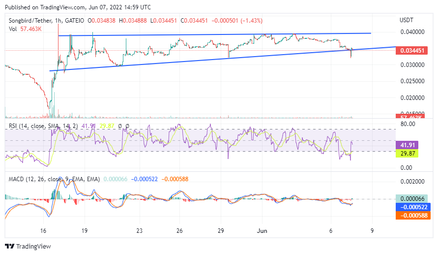 $SGB recovered back to support.  The hourly MACD is positive and the RSI is oversold so it may hold in this range. The daily RSI still looks OK but the MACD looks like it may go negative.  We'll see further drops if it does. Overall markets could drag it down. #sgb #songbird