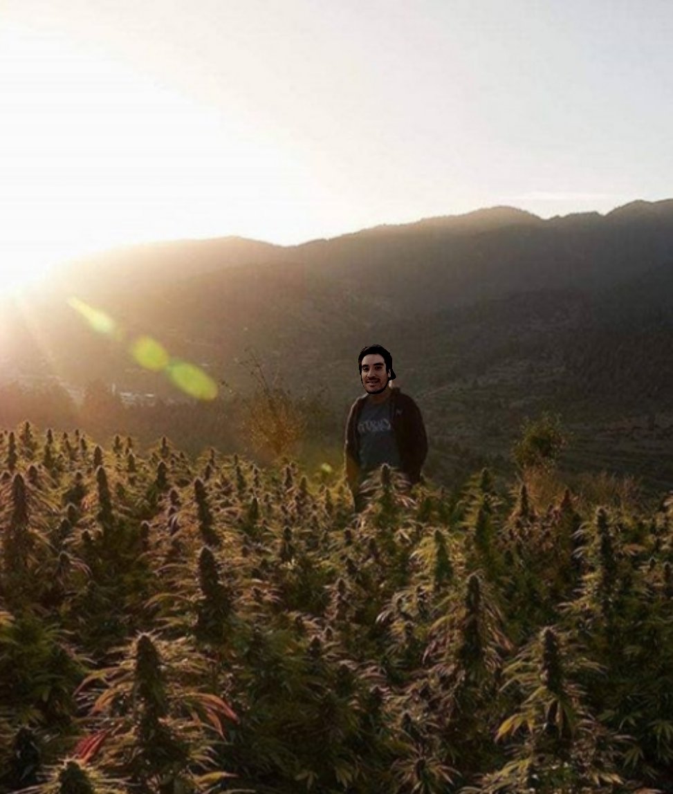 proyzen's tweet photo. @elxokas Cada loko con su lokura ... saludos desde Osorno Chile .. en mi campo de weed 🤫 https://t.co/ro0atDLGWg