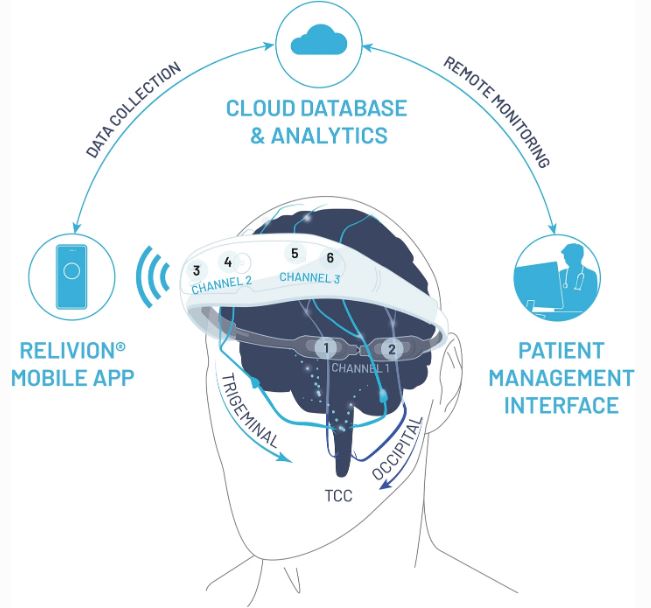 Pain and Therapy tweet media