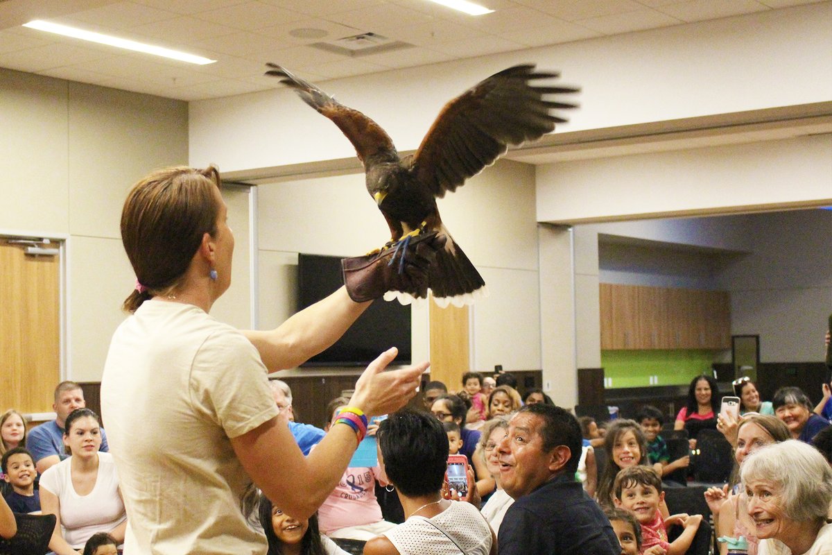 irvinglibrary's tweet photo. Birds of a feather flock together! Families are invited to the South Irving Library at 2pm, June 11 for an up close and personal free-flight program courtesy of Window to the Wild! For more information, call (972) 721-2606. https://t.co/QZVIhUhyKT