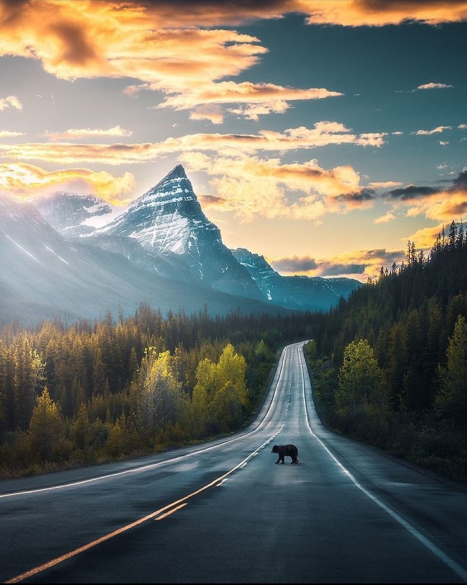 alexa_xan7's tweet photo. Banff National Park https://t.co/BQJmXKXCzz