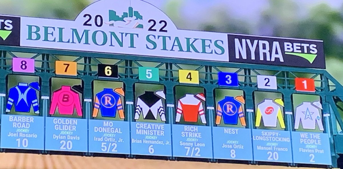 Sábado a partir das 18hs ao vivo na ESPN. A ver em qual canal. Estarei nos comentários. #turfe #corridadecavalo #horseracing #BelmontStakes