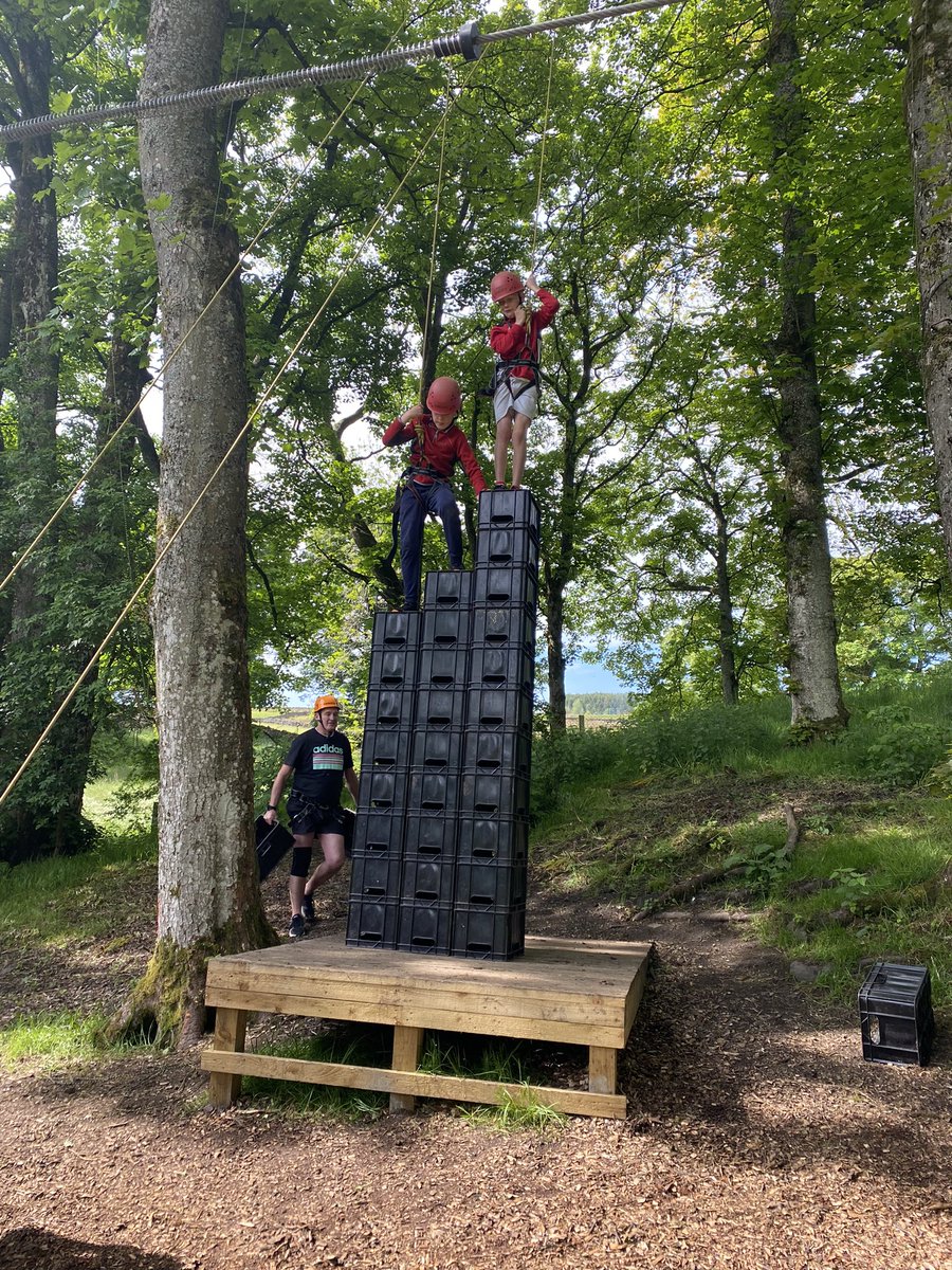 Roundhay School Y5 tweet media