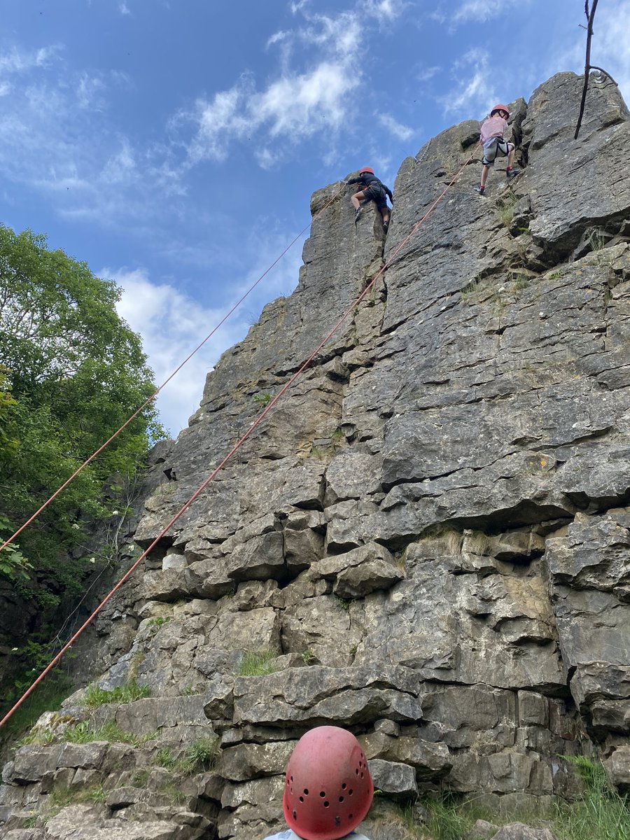 Roundhay School Y5 tweet media