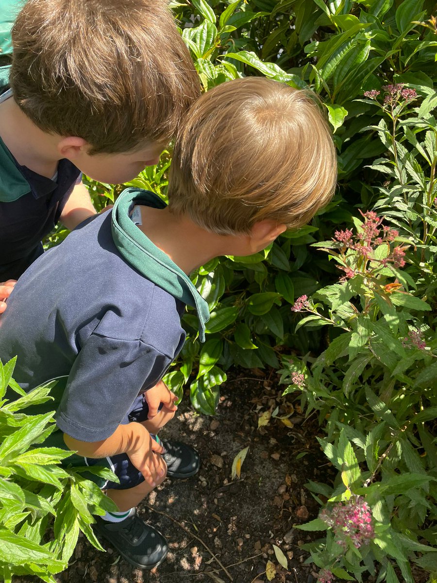 woodlandsGW's tweet photo. Reception received a letter today from the curator at NHM sharing news a mysterious mythical egg had been found on site. We went exploring and discovered a shiny, golden egg hiding in our outside area. What could be inside the egg?🥚🐉  #WoodlandsWay https://t.co/D7vMiCjmgl