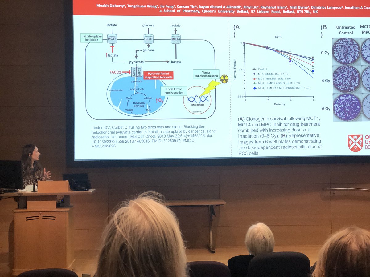 Dr Niall M Byrne tweet media