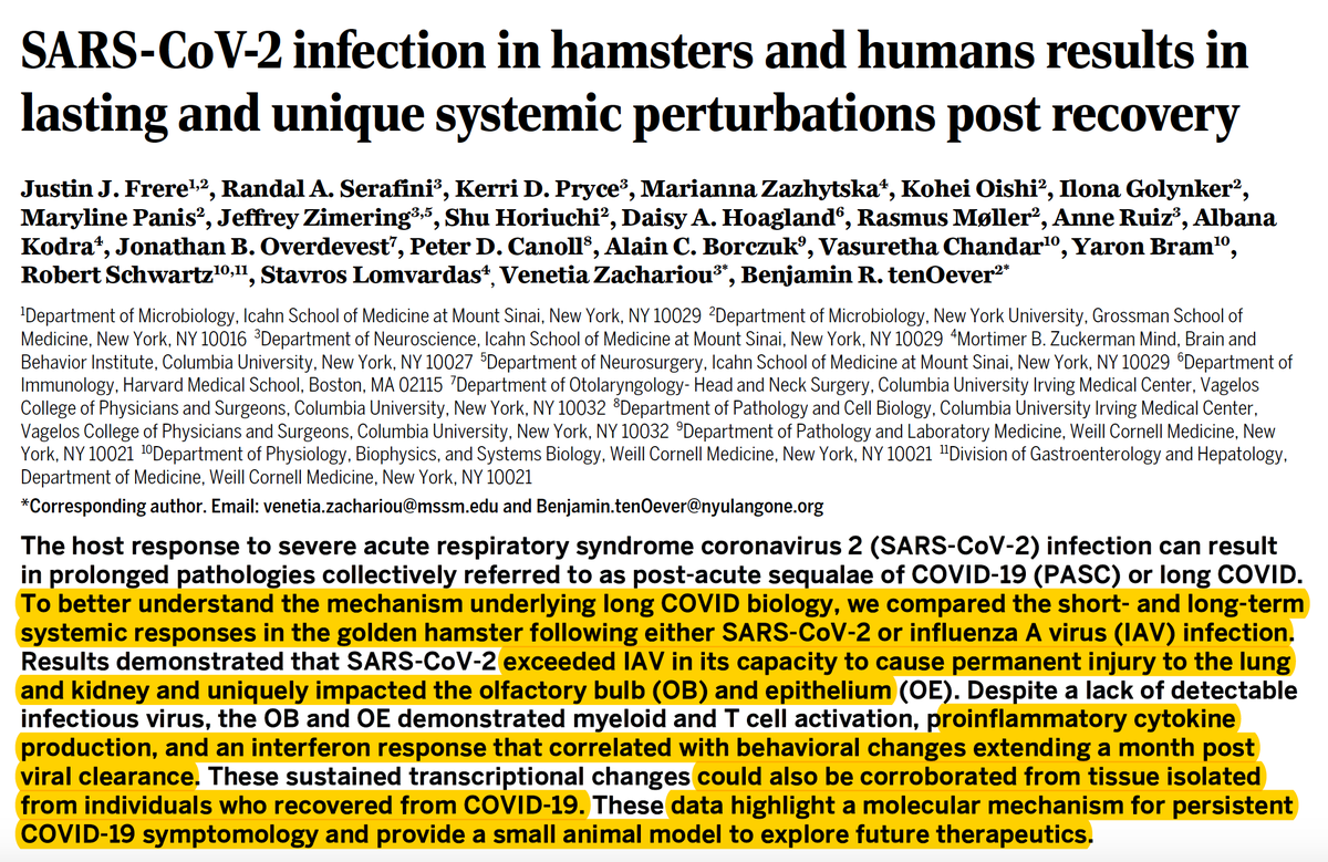 EricTopol's tweet photo. New, important #LongCovid report @ScienceTM: persistent pro-inflammatory biology
"These data highlight a molecular mechanism for persistent COVID-19 symptomatology and provide a small animal model to explore future therapeutics."
https://t.co/iLQ8dTw8BA @Justin_Frere @virusninja https://t.co/sheH9B5W4v