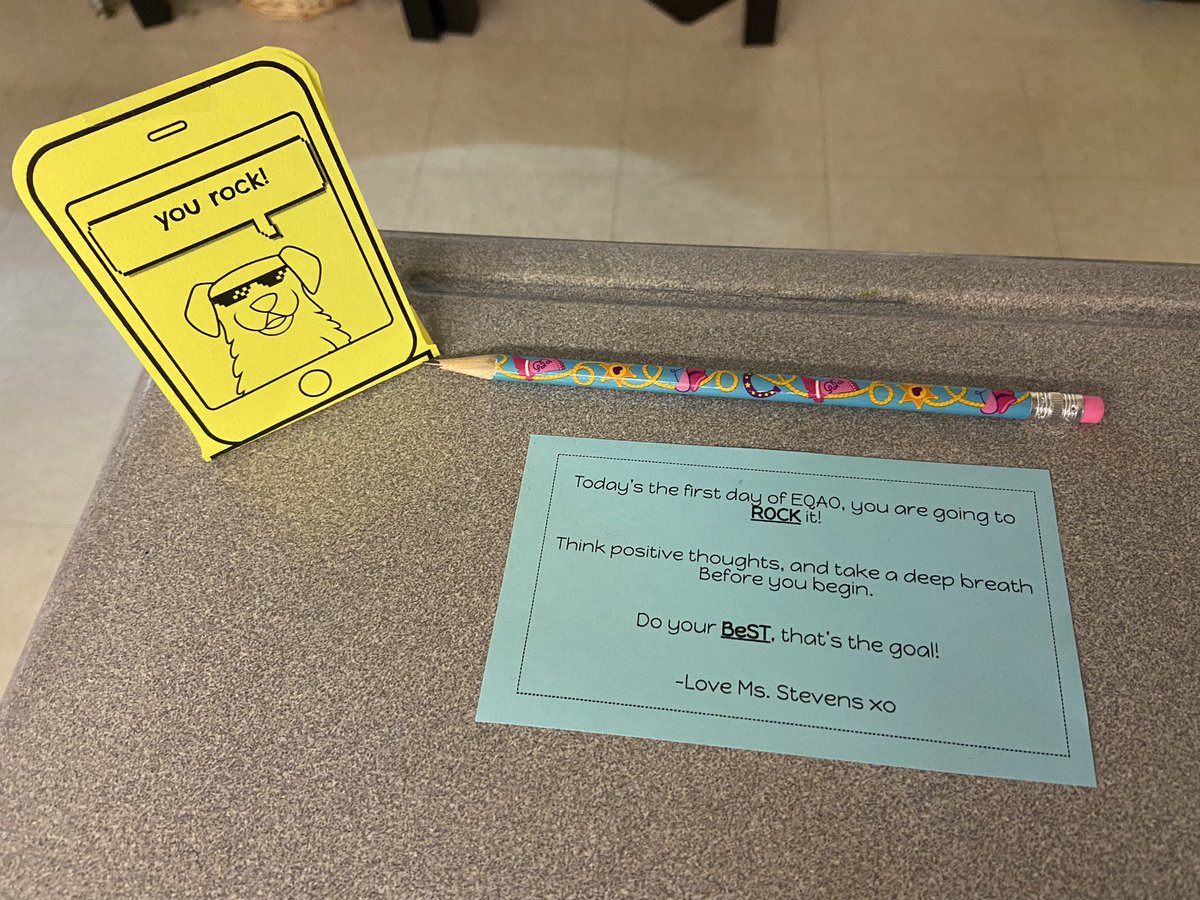 ms_stevenskr's tweet image. Good luck to all of the grade 3 students writing EQAO this week. Think positive thoughts, you got this!