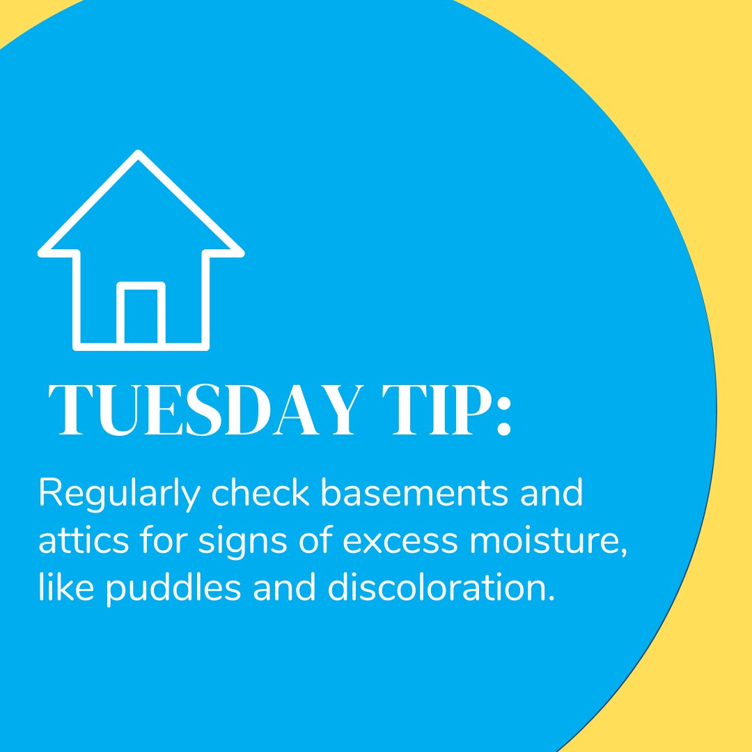 Working to reduce dampness indoors can prevent #mold and #mildew growth. 🏠 #HomeTips