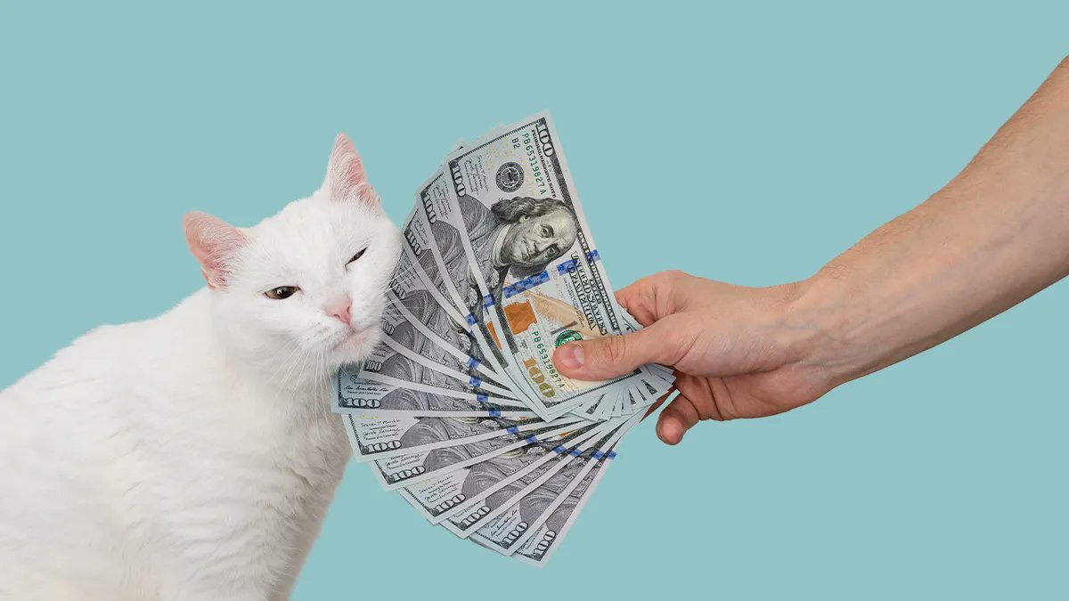 prompt_journal's tweet image. The Downsides of Making a Counteroffer to Retain an Employee | via HBR buff.ly/3ssM7hU