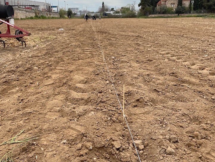 vitislab's tweet photo. 30/04/2022 - Αμπελώνας Εργαστηρίου Αμπελολογίας ΓΠΑ. 
Χάραξη- Φύτευση στο πλαίσιο της αναδημ��ουργίας της ιστορικής αμπελογραφικής συλλογής γηγενών και άλλων ποικιλιών.
#LaboratoryofViticulture #AgriculturalUniversityAthens https://t.co/ZCDcTTySgf