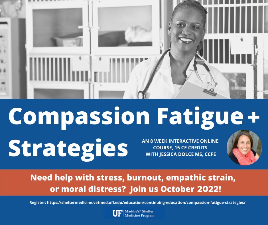 UF Shelter Medicine tweet media