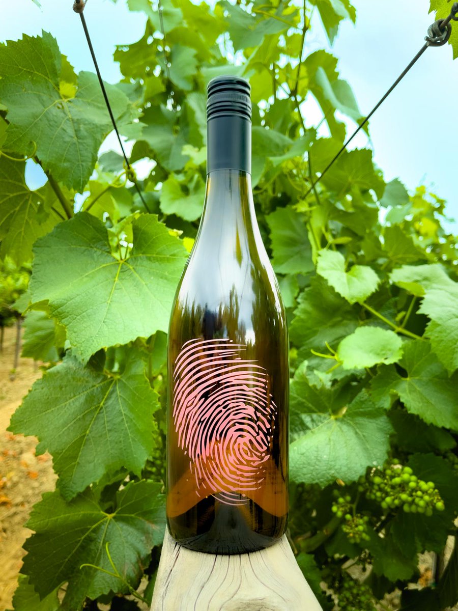 It’s International Rosé Day and we have a must sip wine! 🌴🤩 Our 2021 Rosé of Cabernet Franc comes from the world renowned Alexander Valley, Sonoma County, @lopezfamilyvineyards . Bright acidity melds a unique complexity and delivers perfect balance to this refreshing sipper.