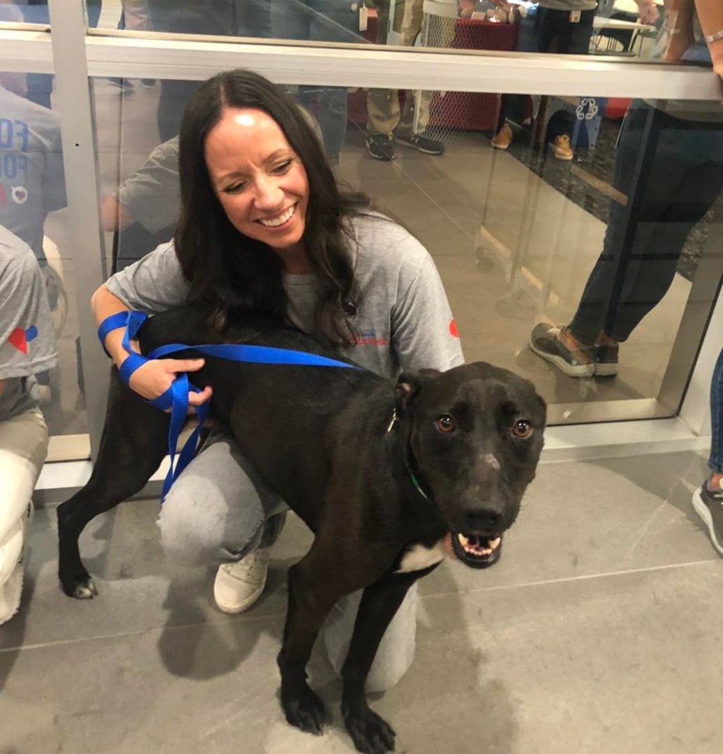 PetSmartChariTs's tweet photo. We know that changing the lives of adoptable pets is not a small task, but it sure is a lot easier with the help of all of our partners &amp; volunteers.

These amazing volunteers came out to help our partners at HALO &amp; to celebrate our 10 Million Adoptions milestone!

📸 : @HALORSQ https://t.co/CtzgxWJVCo