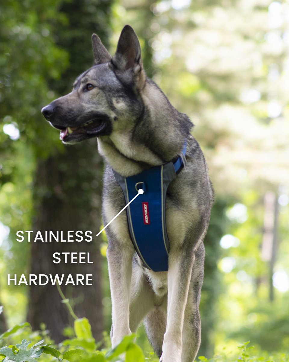 The Ezydog Xlink is my latest review over on the blog, but here're the highlights! 
👏 Broad chested 
🔗 Stainless Steel connectors
💡 Super reflective
✅ Easy use d-ring 
🔘 Runs small

If you have any questions? Ask away!
#dogsoftwitter #twitterdogs

rebarkable.com/ezy-dog-x-link…