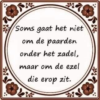 😳🤣🤣grapje