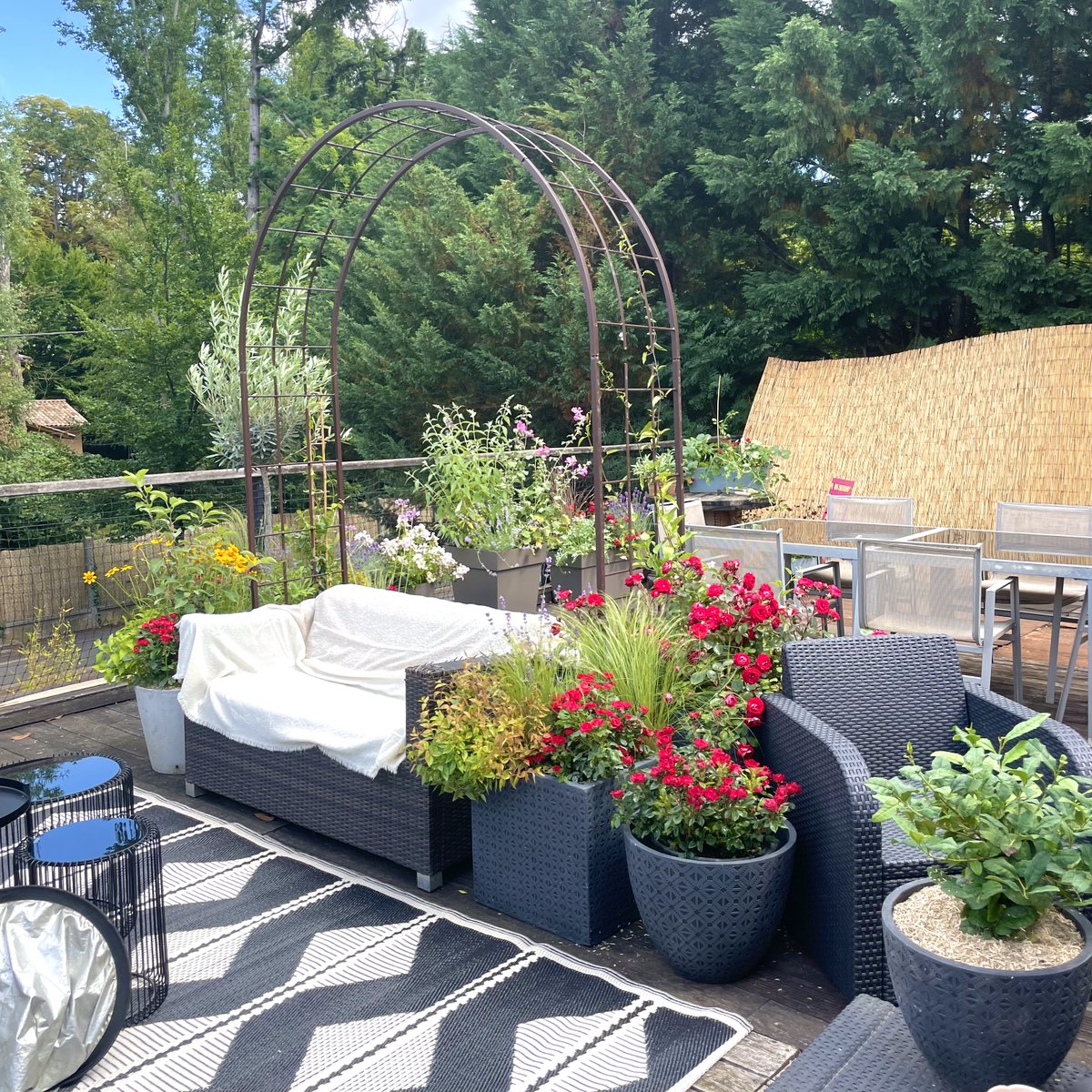 Terre De Roses (@terrederoses) on Twitter photo Aujourd’hui, nous avons accueilli notre client <a href="/rosesmeilland/">Meilland Richardier</a> pour un shooting photo sur notre Rooftop. 🥰🌹
#roses #meillandroses #meillandrichardier #meilland #shooting #photo Aujourd’hui, nous avons accueilli notre client <a href="/rosesmeilland/">Meilland Richardier</a> pour un shooting photo sur notre Rooftop. 🥰🌹
#roses #meillandroses #meillandrichardier #meilland #shooting #photo