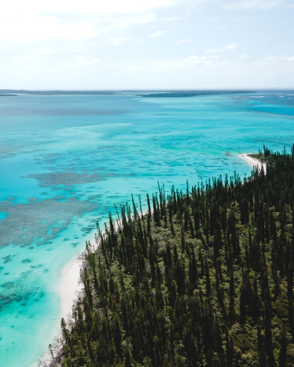 Nouvelle-Calédonie tweet media