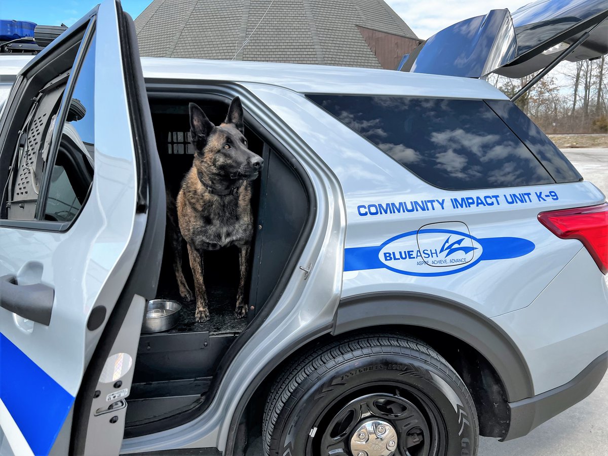 BlueAshPD's tweet photo. #RubysTuesday Did I hear someone say ice cream?
#girlpower #policek9 #shallowcreekkennels https://t.co/9O5G2H2Rc3