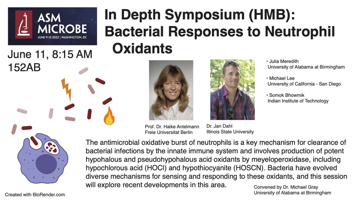 Coming to #ASMicrobe? Join us bright and early Saturday morning for a session on how bacteria resist attack by neutrophils!