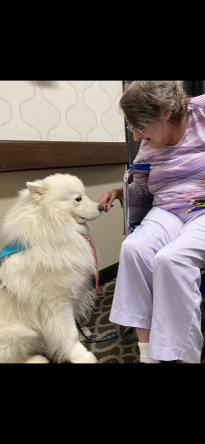 PaddockSprings's tweet photo. We had a special visitor today, our residents enjoyed some pet therapy with Levi. https://t.co/M2BZKXqM5a