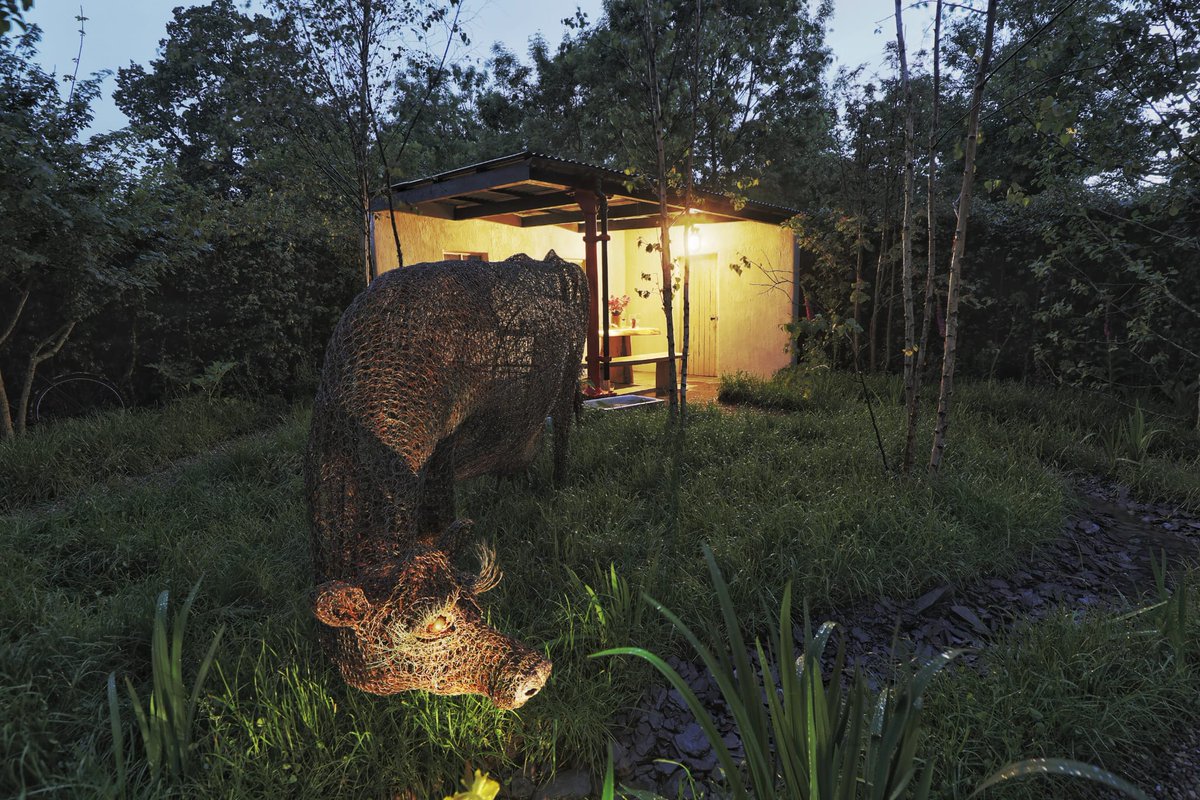 BordBiaBloom's tweet image. And it's a wrap! ❤️👏 
As the sun goes down on our last day in the park, we'd like to say good night and thank you to everyone who visited #BordBiaBloom2022. It was wonderful to welcome you back to the Phoenix Park 🌼
See you all for #BordBiaBloom2023 🌼