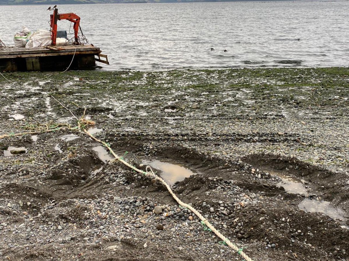 DefendamsChiloe's tweet photo. #IslaLemuy #FotoDenuncia 
destrucción de playa en la localidad de #Aldachildo por parte de la industria mitilicultora. 
¿Quien está autorizando este tipo de actividades que destruyen el entorno?
Vía @TsurComunic 
@chungungoSNP @sernapesca @SubpescaCL @estrellachiloe @cacpuqueldon https://t.co/pLJqJk2jjZ