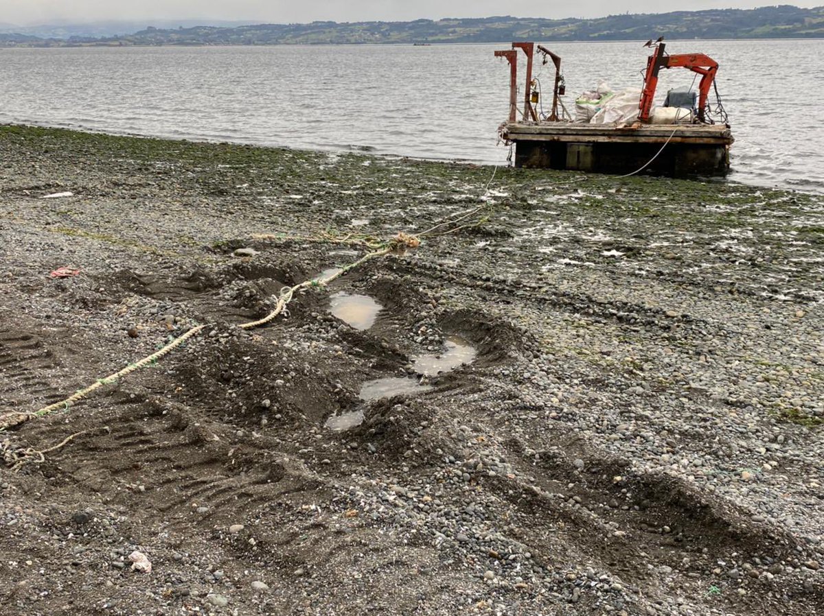 DefendamsChiloe's tweet photo. #IslaLemuy #FotoDenuncia 
destrucción de playa en la localidad de #Aldachildo por parte de la industria mitilicultora. 
¿Quien está autorizando este tipo de actividades que destruyen el entorno?
Vía @TsurComunic 
@chungungoSNP @sernapesca @SubpescaCL @estrellachiloe @cacpuqueldon https://t.co/pLJqJk2jjZ