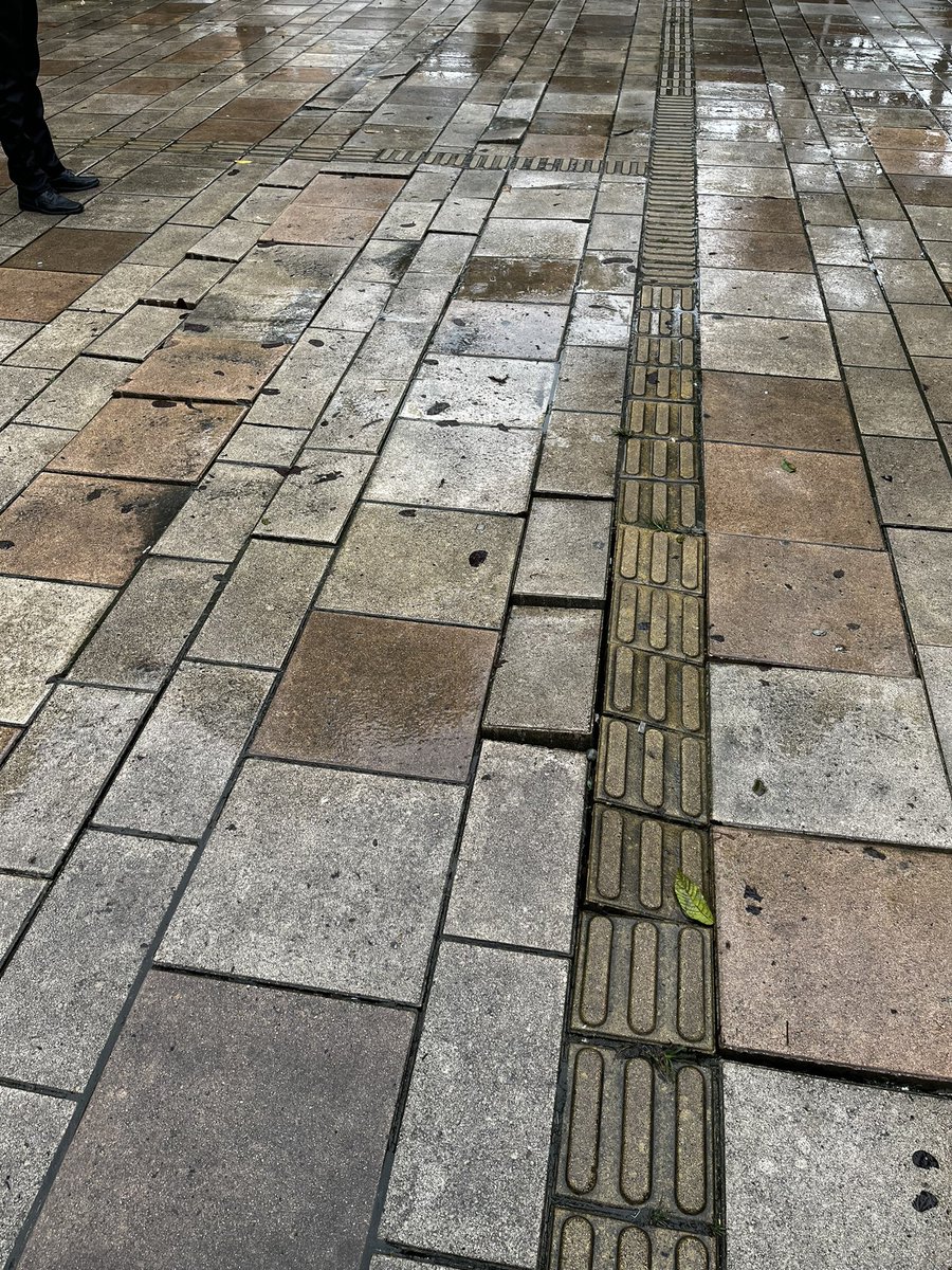 Este es el estado en el que se encuentran varios puntos del histórico parque de Belén. Desde la JAL de la comuna 16 hacemos un llamado a la <a href="/AlcaldiadeMed/">Alcaldía de Medellín</a> para que realicen una intervención en este espacio tan importante para los habitantes de la comuna. <a href="/NataliaUrregoA/">Natalia Urrego Arias</a>