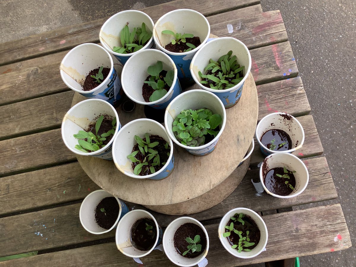 All Saints' NW2 tweet media