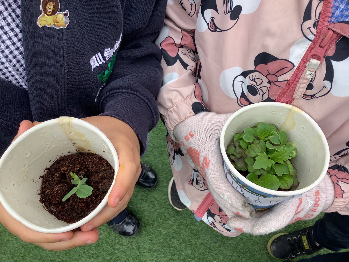 All Saints' NW2 tweet media