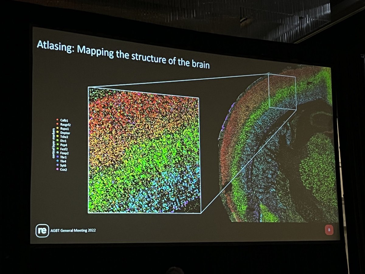julemieux1's tweet photo. I could look at spatial images all day long. #AGBT22 ⁦@ResolveBioSci⁩ https://t.co/bAh7JSb8Jl