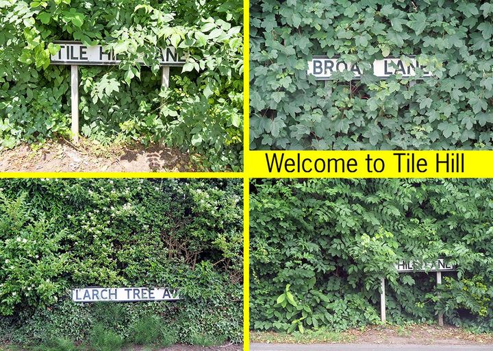 caravangallery's tweet photo. When we think of #TileHill we think of GREEEEN so made this #postcard. Looking forward to immersing ourselves next week when we return to #TileHillLibrary. https://t.co/YTdhq6fBjo
#TileHillPrideofPlaceProject #DigitalSpaces #nature #green #Coventry https://t.co/zZwPfmoSSV