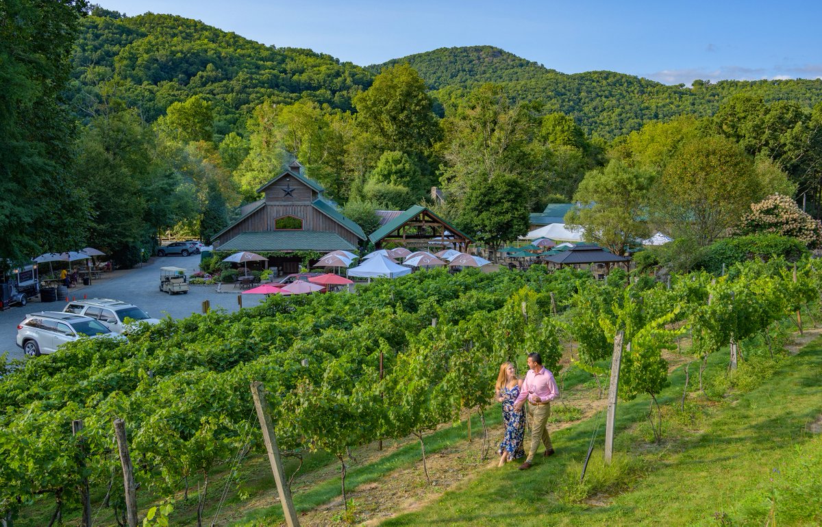 Craig Distl tweet media