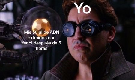 labigen_ugr's tweet photo. ¿Sí o no? https://t.co/Nzx8XtMYJw