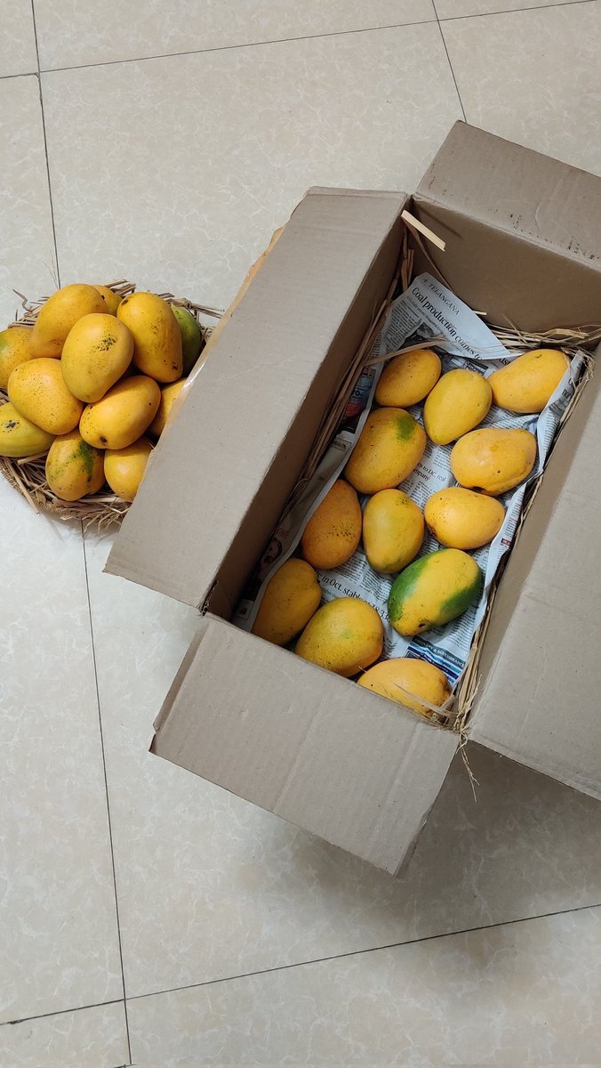 GAYATHRIGSAK's tweet photo. THANK YOU SIR. THANK YOU @PawanKalyan garu for these farm fresh mangoes. It makes us feel immensely happy to recieve this gift from you sir. #mango #mangoseason https://t.co/WDhB5Eitql