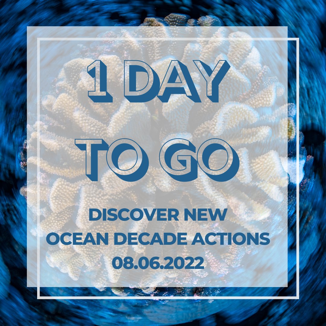 😀 Get ready: Tomorrow we will uncover the newly endorsed #OceanDecade Actions addressing priority issues including marine pollution🥤, management and restoration of marine ecosystems &amp; the ocean-climate nexus. 🌊