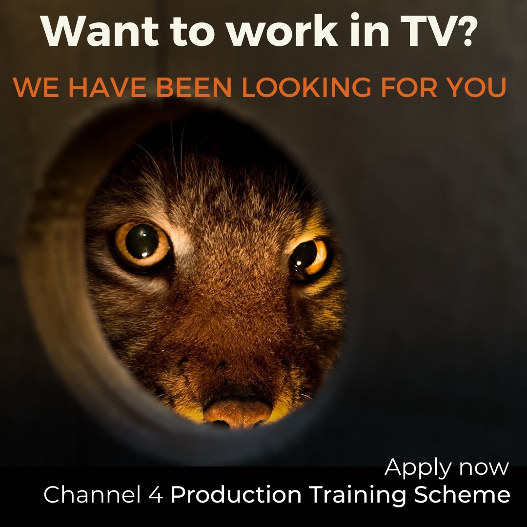 Have you always wanted to work in TV, but not sure how to get your big break? The @channel4skills Production Training Scheme is for entry level talent who want to break into the media industry and…you could work with us

Apply:  4people.secure.force.com/recruit/fRecru… 

Deadline: Sun 12 June