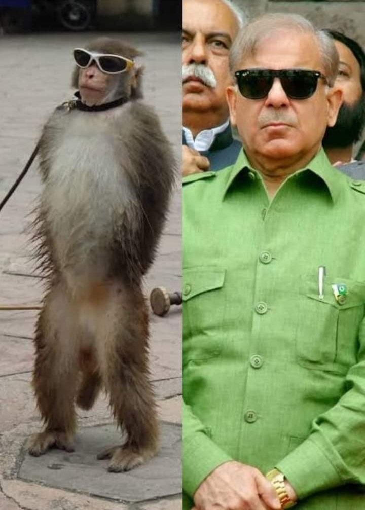 JokeCasm's tweet image. Lanti Crime Minister Shahbaz Sharif has signed the summary on approval of Rs 25 increase in petrol price. New prices will be applicable at 12 midnight. Petrol price fixed at Rs 237.56
#CrimeMinisterRejected
#PakistanNeedsImranKhan
#PetrolPriceHike 
#Pakistan