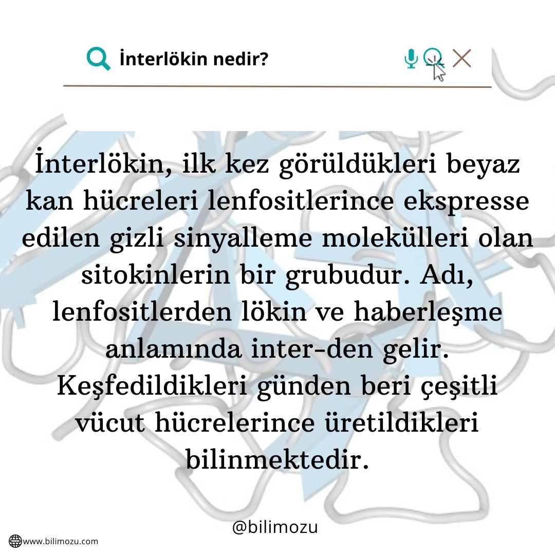 İnterlökin nedir?