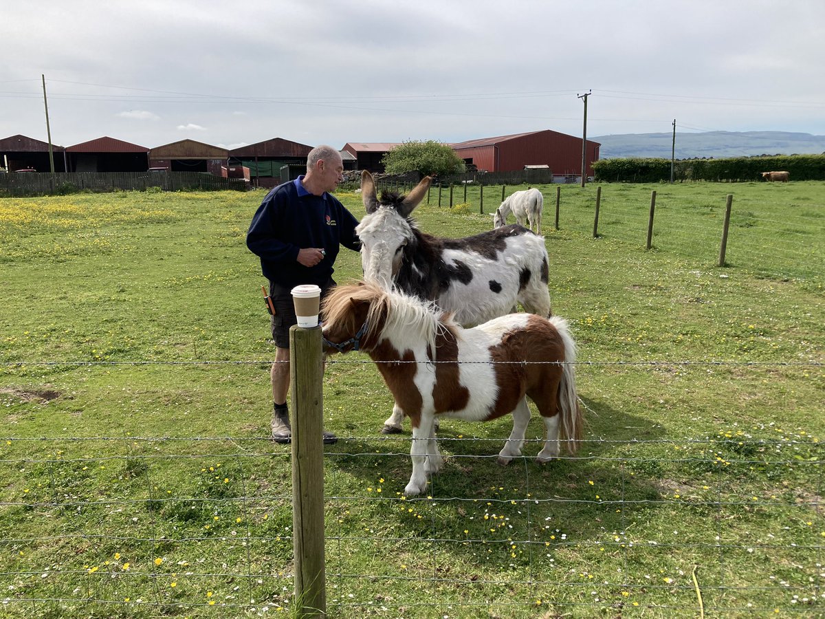The animals all came out to see us…and the go karts were popular.