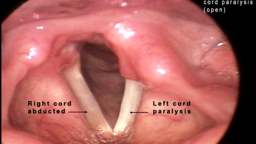 Richard Guttler MD,FACE,ECNU tweet media