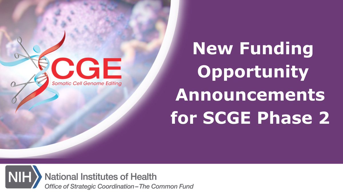 somaticediting's tweet photo. ICYMI: The deadline for LOIs for Phase 2 of the #SCGE is quickly approaching❗️ Submit by Friday, June 17 ⬇️
https://t.co/6mYbm1D92o @NIH_CommonFund https://t.co/Z1jRCsECPo