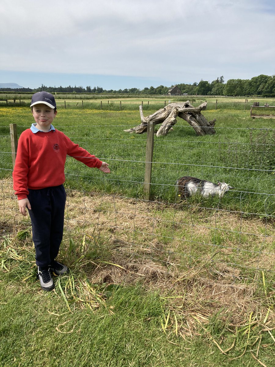 More fun in the sun today.