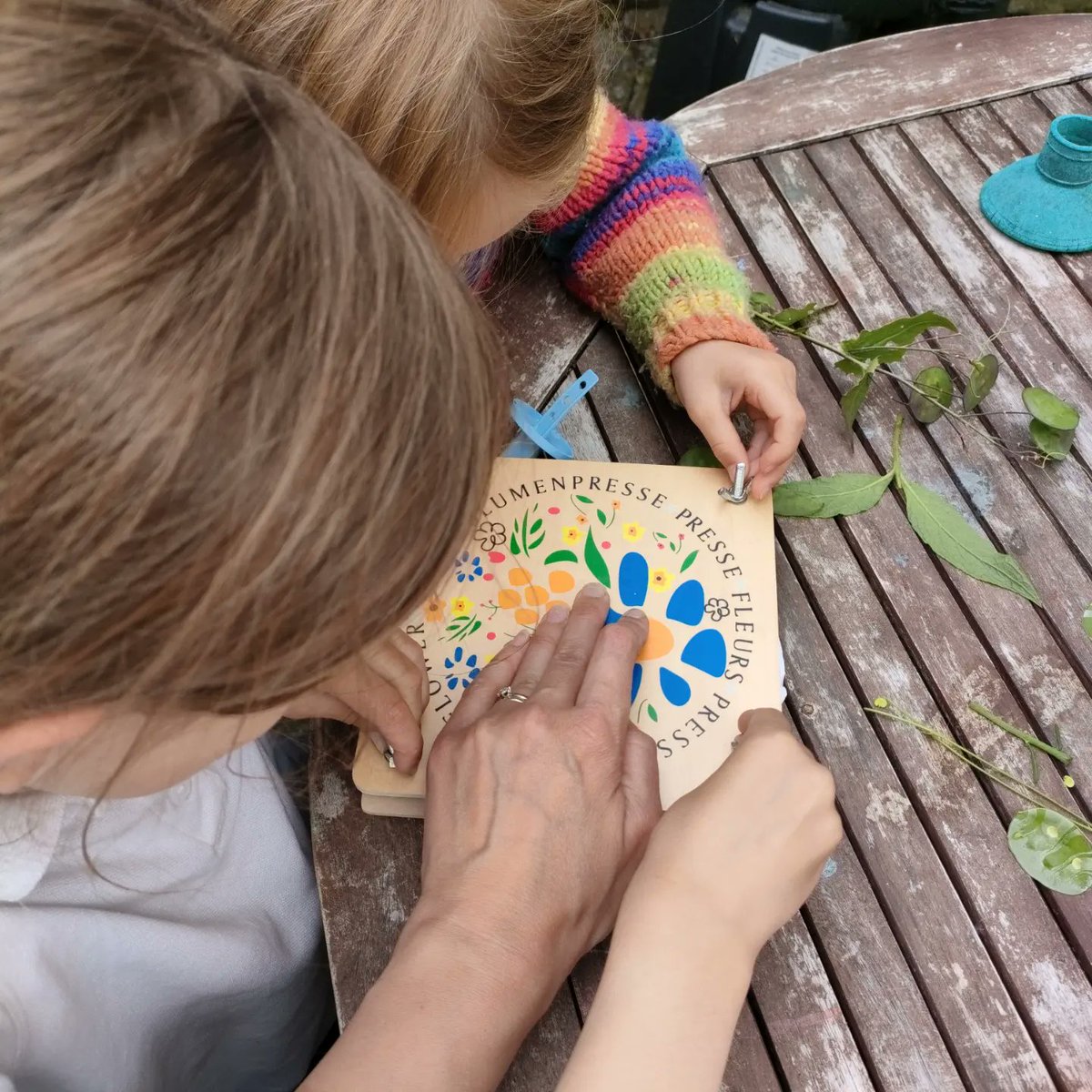 connections78's tweet photo. #Flower and #Bee hunt in the garden today.... We found 28 different flowers in bloom 😍🌼 #30DaysWild #30DaysWild2022 #natureconnectedness https://t.co/zDsOnkrpIa